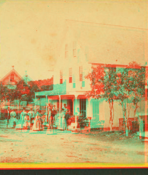 [Group in front of a store with "Cleveland & Bradley" sign.] 1865?-1880?