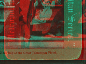 ëRomey,í hero dog of the great Johnstown Flood. 1889