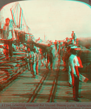 Loading steamer for United States ports, Maracaibo, Venezuela. [ca. 1900]