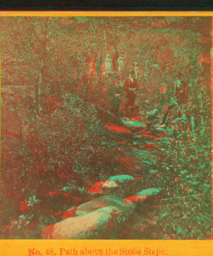 Path above the stone steps. [ca. 1875] 1864?-1885?