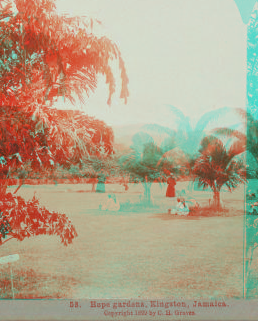 Hope gardens, Kingston, Jamaica. 1899