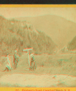 Elephant's Head, Crawford Notch, N.H. [ca. 1872] 1858?-1895?