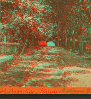 Entrance to St. Augustine, through an archway of Pride of India and Live Oak trees. 1868?-1895?