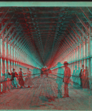 Perspective view of the carriage way in the Suspension Bridge, Niagara. 1859-[1875?]