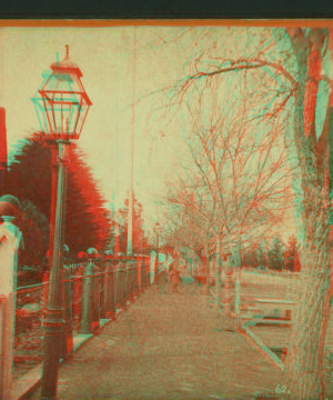 Street in front of the Officer's Residences, Mare Island. ca. 1875 1870?-1880?