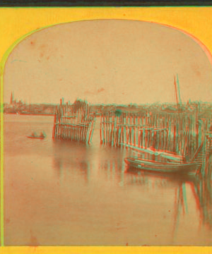 Ferry landing, at Cape Elizabeth, Portland, Me. 1869?-1880?