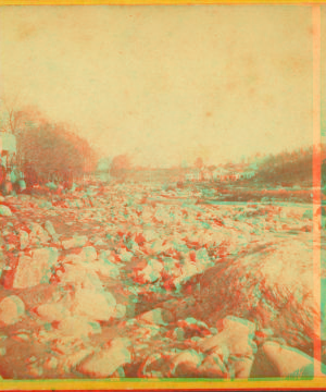 Stereoscopic views of the Mill River (Mass.) Flood, May, 1874. May,1874