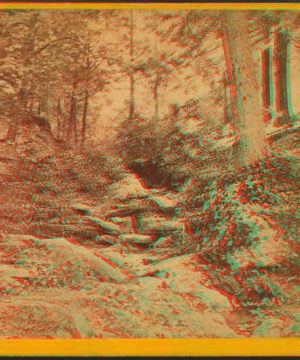 Deer Run, Wissahickon Creek. 1860?-1870?