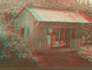 A Native Country School House among the Banana Trees, Jamaica. 1904