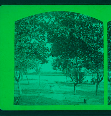 Fort George Island, looking to the inlet. 1865?-1890?