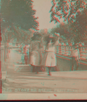 Stone Bridge steps, Central Park, N.Y. [1860?-1900?]