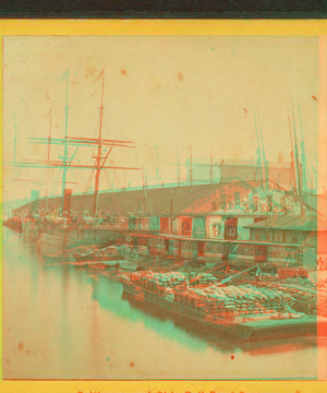 Locust Point Depot and Bremen Steamer. Locust Point, Balto. [ca. 1870] 1860?-1890?