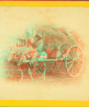 15th Amendment bringing his crop to town. [Man on an oxcart loaded with hay.] 1868?-1900?