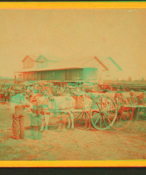 Pembina half-breeds on a trading tour. 1862?-1875?