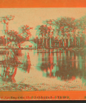 Silver Springs on the Oklawaha River. [ca. 1875] 1875?-1890?