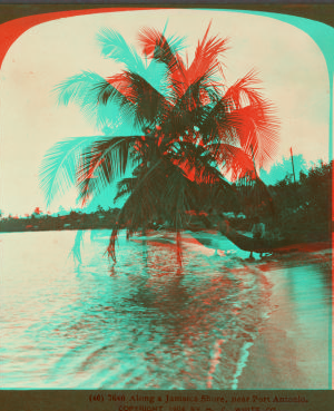 Along a Jamaica Shore, near Port Antonio. 1904