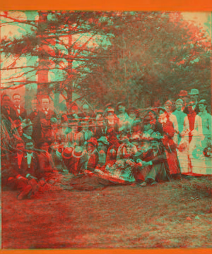 [Group of men and women posing under the trees.] 1881 1869?-1880?