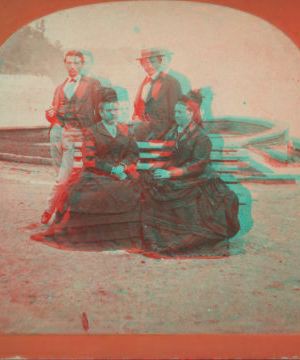 [Tourists posing at Niagara Falls.] [1859?-1885?] [ca. 1875]