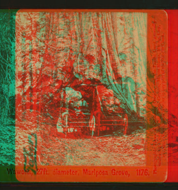 Wowona, 27ft, diameter, Mariposa Grove. 1867-1874 1867?-1874?