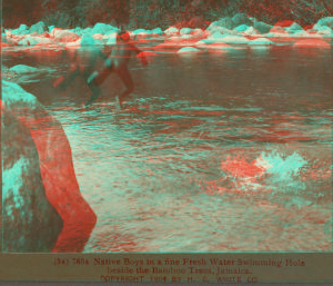 Native Boys in a fine Fresh Water Swimming Hole beside the Bamboo Trees, Jamaica. 1904