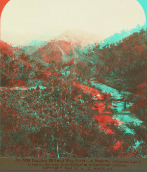 Brandon Hill and Wag River. A Beautiful Jamaican Landscape on the way from Kingston to Castleton Gardens. 1904