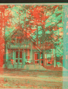 [View of a cottage, trees in front, people on porch.] 1865?-1885?