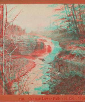 Genesee Lower Falls and Bed of River. [1879?-1890?]