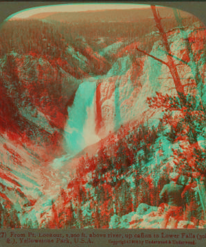 From Pt. Lookout, 1,000 ft. above river, up caÒon to Lower Falls (308 ft.) Yellowstone Park, U.S.A. 1901, 1903, 1904