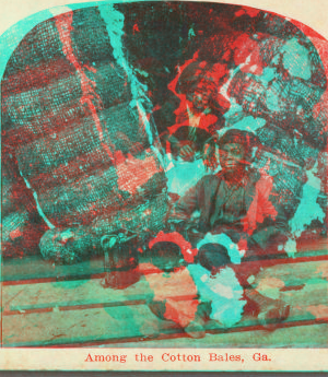 Among the Cotton Bales, Ga. [ca. 1900]