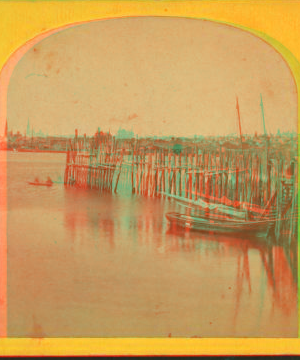 Ferry landing, at Cape Elizabeth, Portland, Me. 1869?-1880?