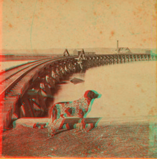 [Railroad bridge with a dog in the foreground.] 1865?-1875? ca. 1867