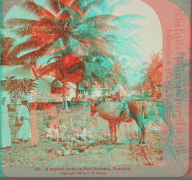 A typical scene in Port Antonio, Jamaica. 1899