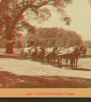 California Freight Wagon. 1870?-1910? 1870-1910