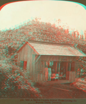 A Native Country School House among the Banana Trees, Jamaica. 1904