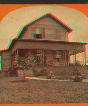 [Veranda with guests and African American servants.] 1870?-1885? 1870-1885?