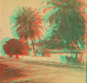 Caroline St., Key West, Fla. 1860?-1900?