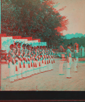 [Soldiers with rifles standing in row.] 1870?-1880?