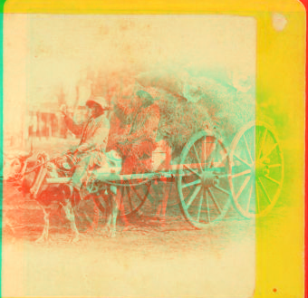 15th Amendment bringing his crop to town. [Man on an oxcart loaded with hay.] 1868?-1900?