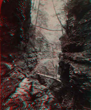 Looking down from Pluto, Watkins Glen, N.Y. [1865?-1905?]