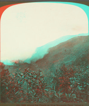 Above the Clouds on Blue Mountain Peak, Jamaica. 1904