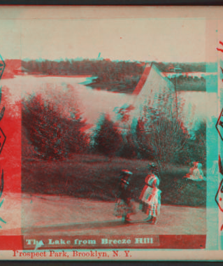 The lake from Breeze Hill, Prospect Park, Brooklyn, N.Y. [1870?-1890?]