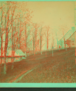 [View of part of a house on a hill.] 1860?-1895?