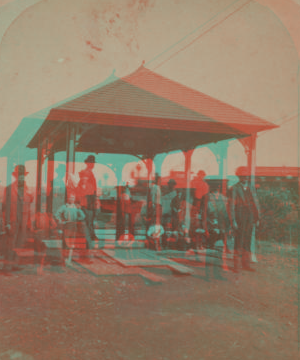 [Group of people standing under a shelter.] [ca. 1870] [1865?-1885?]