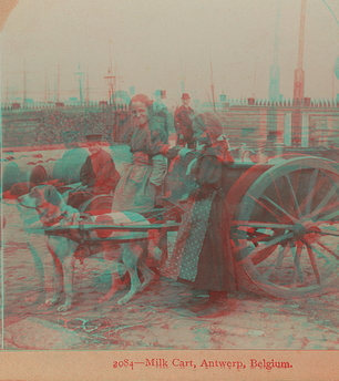 Milk cart, Antwerp, Belgium