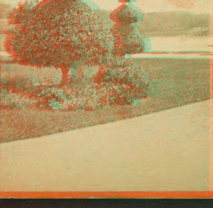 View in Public Garden. 1865?-1890?