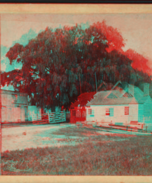 The toll gate beneath the willows, on the Shell Road. [1865?]-1919