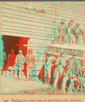 Waiting for your team at the Cotton Gin, Florida. 1879