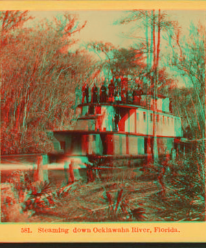 Steaming down Ocklawaha River, Florida. [ca. 1880] 1870?-1910?