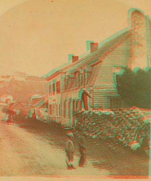 [House with man on large woodpile.] 1865?-1900? 1865-1900