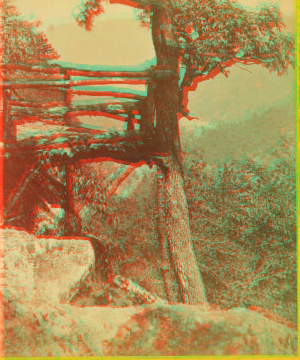 [Rustic log scenic overlook.] 1860?-1900?